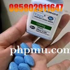 Jual Viagra Asli Di Blora 085802911647 Alamat Obat Viagra Usa cod