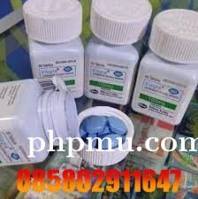 Jual Viagra Asli Di Bandar Lampung 085802911647 Alamat Obat Viagra Usa cod